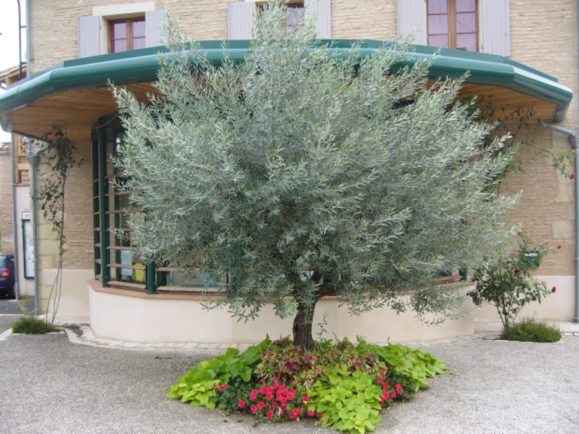 banner-image